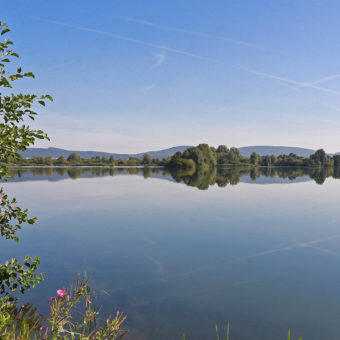 Verantwortung