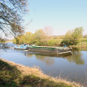 Frühling in den Weserauen