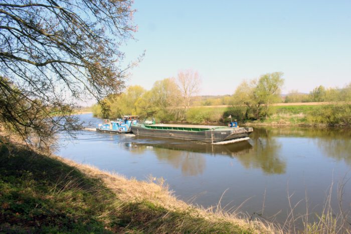 Frühling in den Weserauen