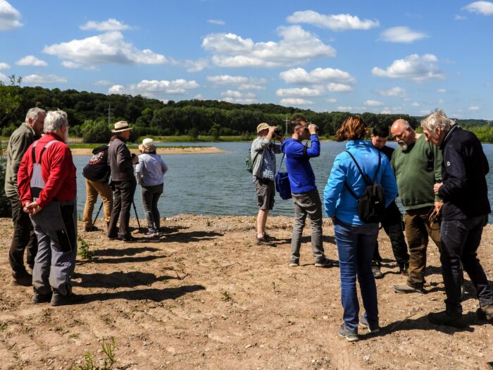 Erkundung Lebensraum Altabgrabung