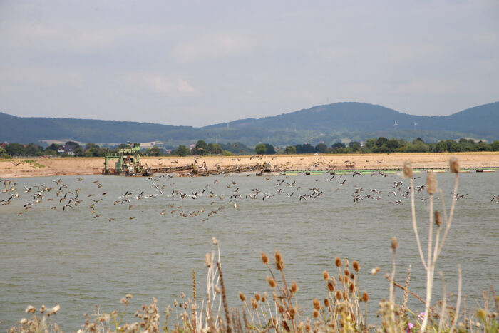 Erneute Exkursion in der Altabgrabung Varenholz