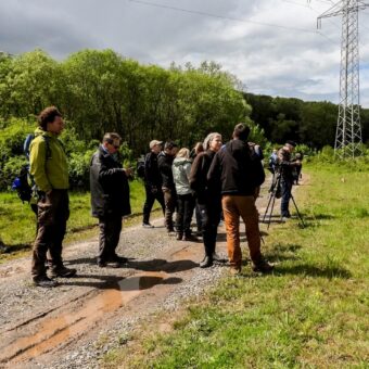 Erneute Exkursion in der Altabgrabung Varenholz