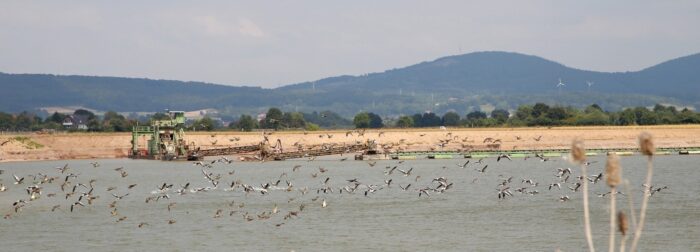 Erneute Exkursion in der Altabgrabung Varenholz